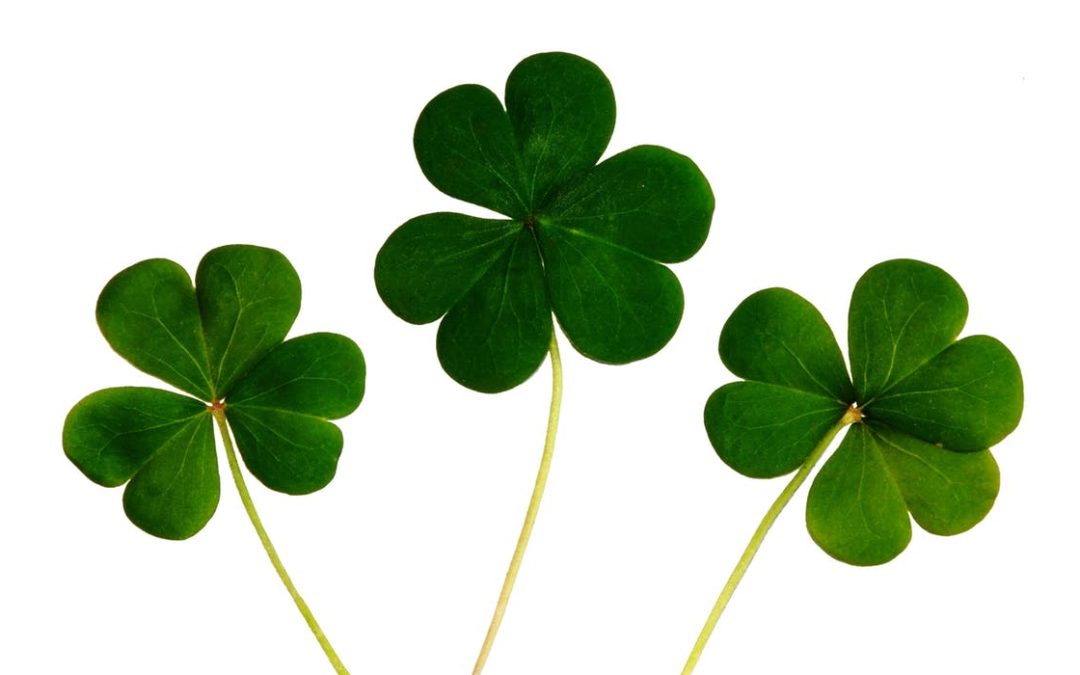 Are you relying on luck or malarkey?